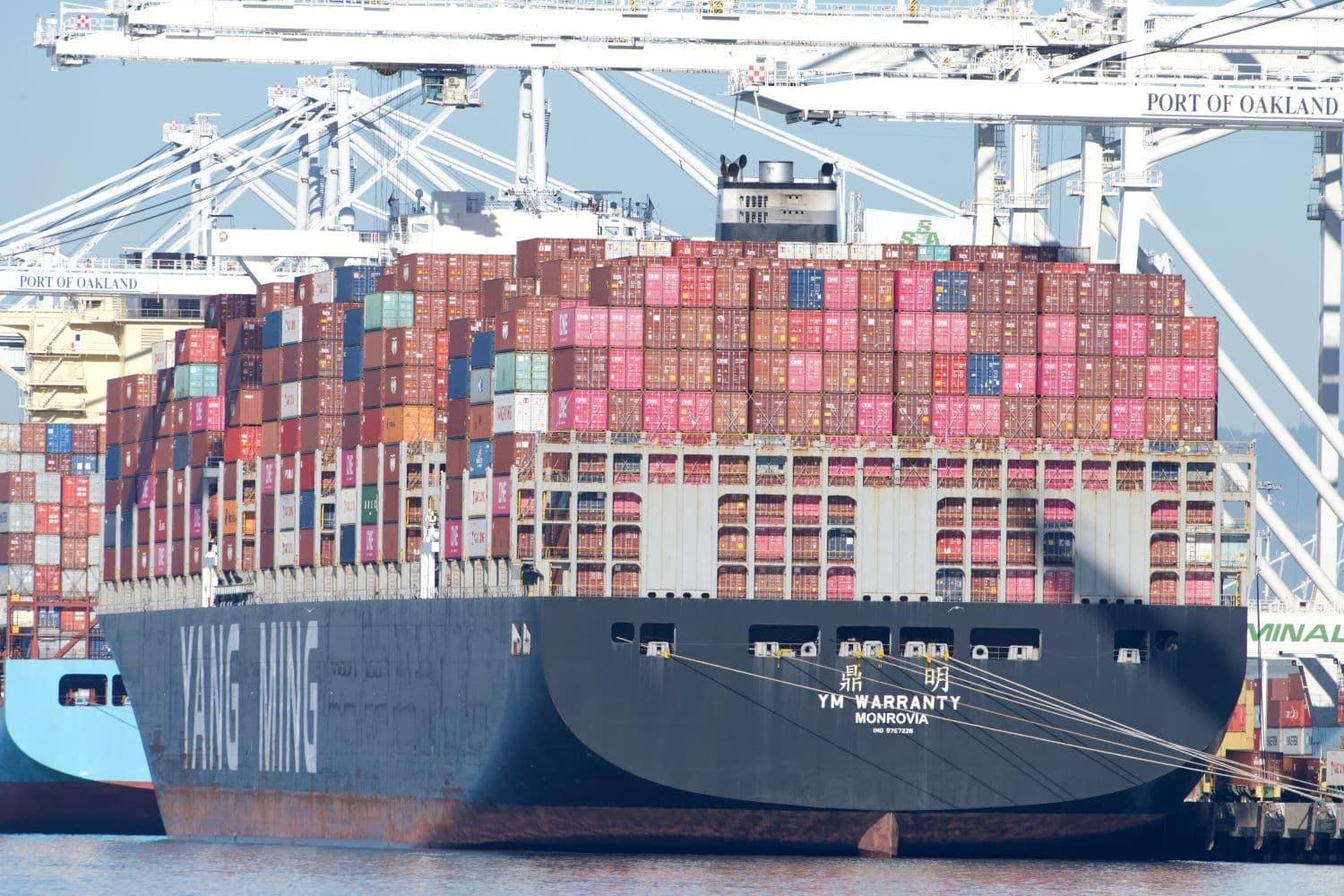 Asia-US Spot Rate Surge Continues as Retail Restocking Enters the Mix