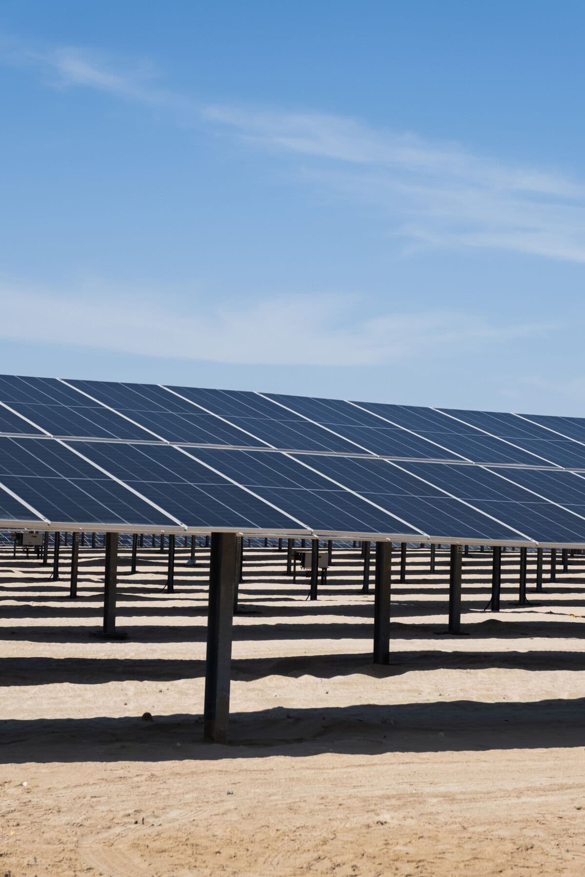 Jinko Solar Eyes Breakeven in 2025 as China Tackles Solar Overcapacity