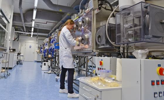 US-Iran Nuclear Deal: IAEA Says Technical Work Can Begin After Historic Memorandum