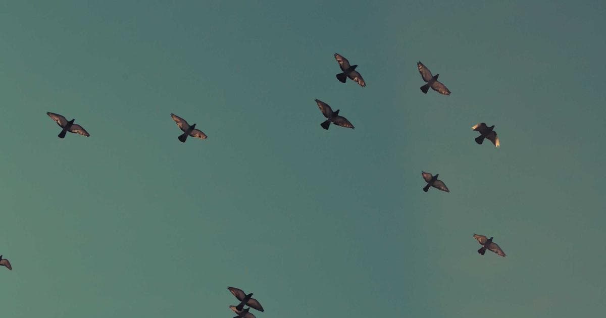 Agentic AI in Supply Chain: Why Rate Data Readiness Is Key for Forwarders