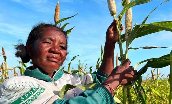 Climate Shocks Accelerating as El Niño Threat Looms Over Already Vulnerable Regions